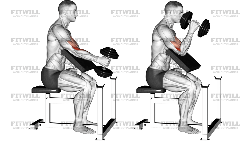 Dumbbell One-Arm Hammer Preacher Curl