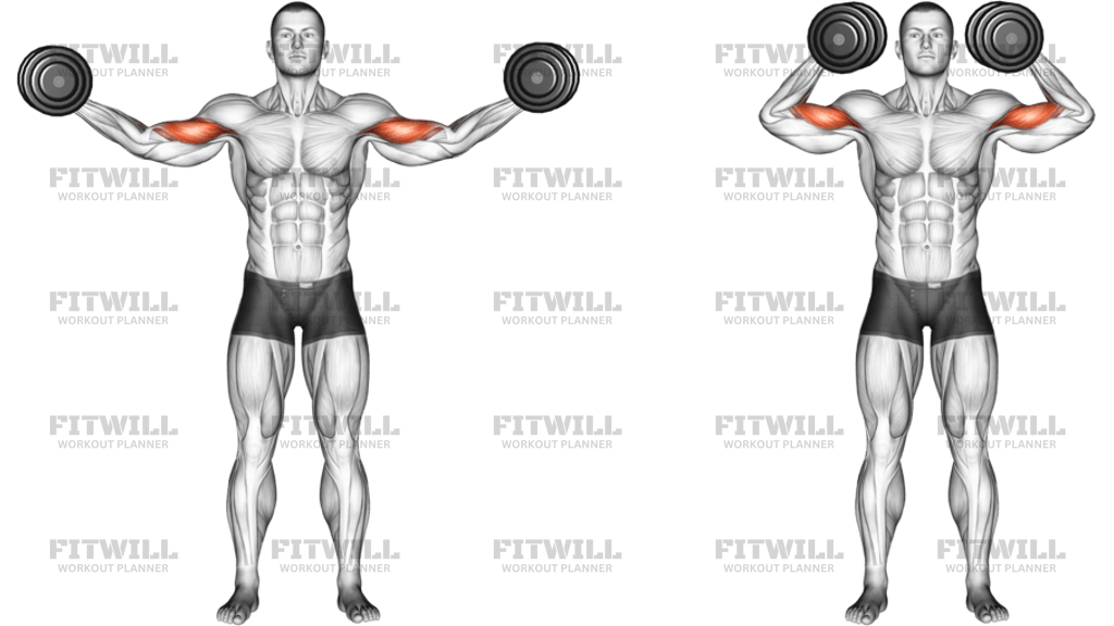 Dumbbell High Curl