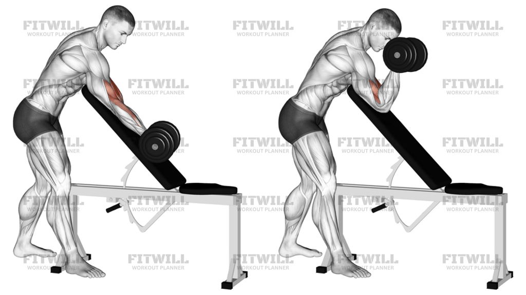 Dumbbell One-Arm Zottman Preacher Curl