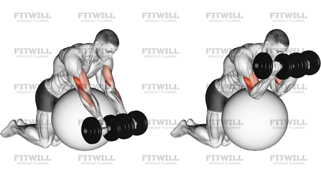 Dumbbell Preacher Curl Over Exercise Ball