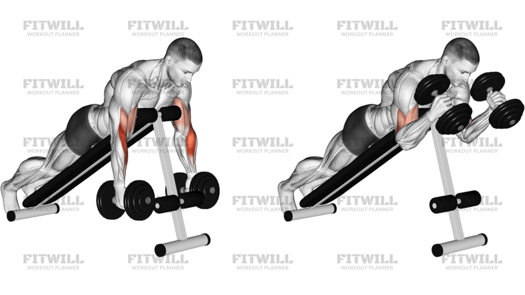 Dumbbell Prone Incline Hammer Curl