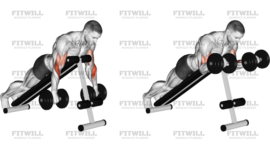 Dumbbell Reverse Spider Curl