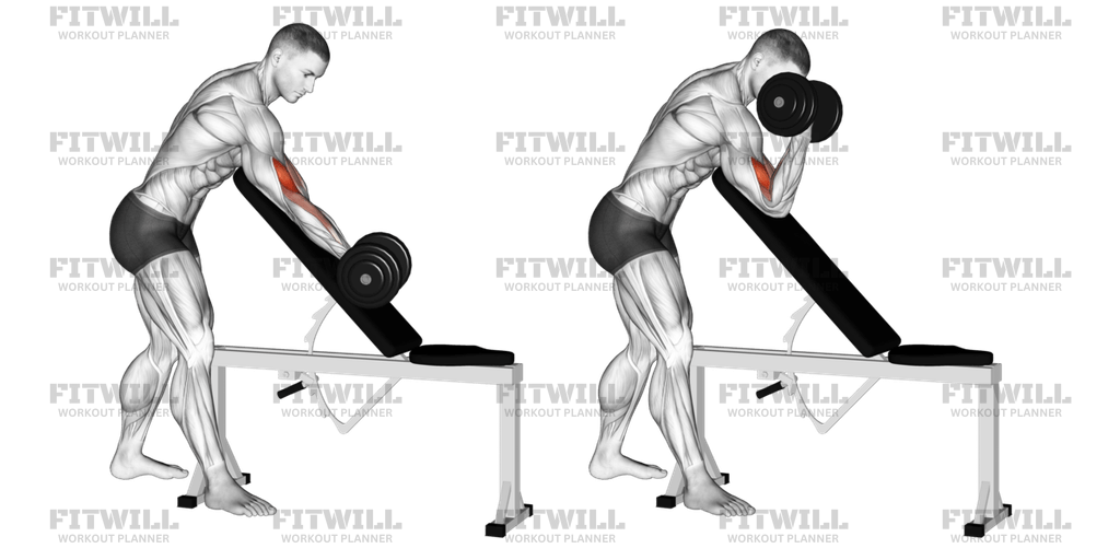 Dumbbell curl incline bench hotsell