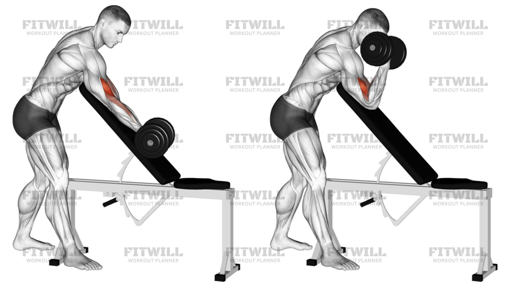 Dumbbell Standing One-Arm Curl Over Incline Bench