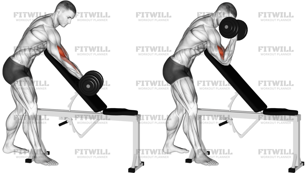 Bicepsový Zdvih S Jednoručkou Vestoje Přes Šikmou Lavici