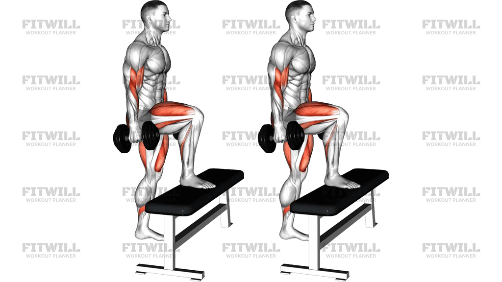 Dumbbell Step-Up Single Leg Balance With Bicep Curl