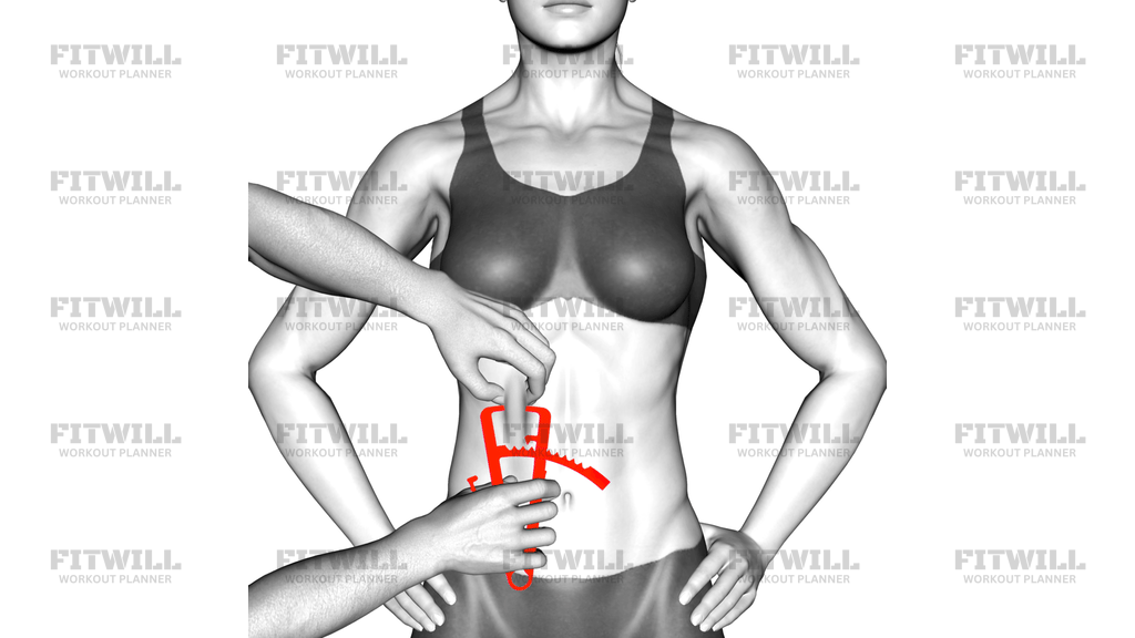 Body Fat Measurement