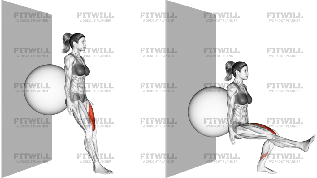 Stability Ball Single Leg Squat