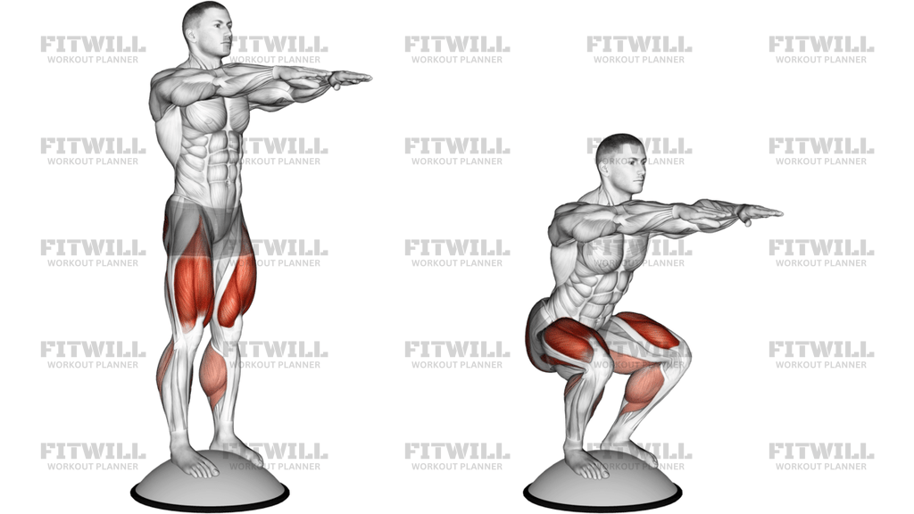 Squat On Bosu Ball