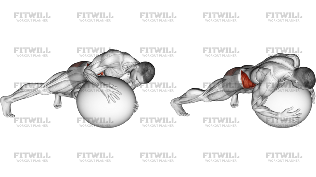 Prone Twist On Stability Ball