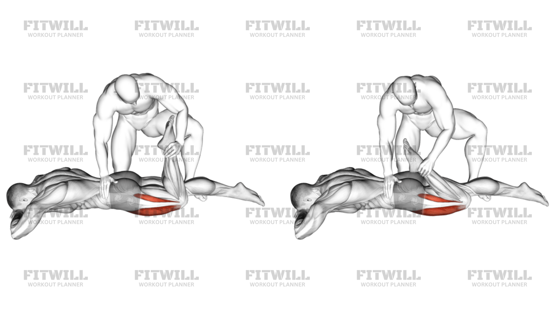 Prone quadriceps stretch hotsell