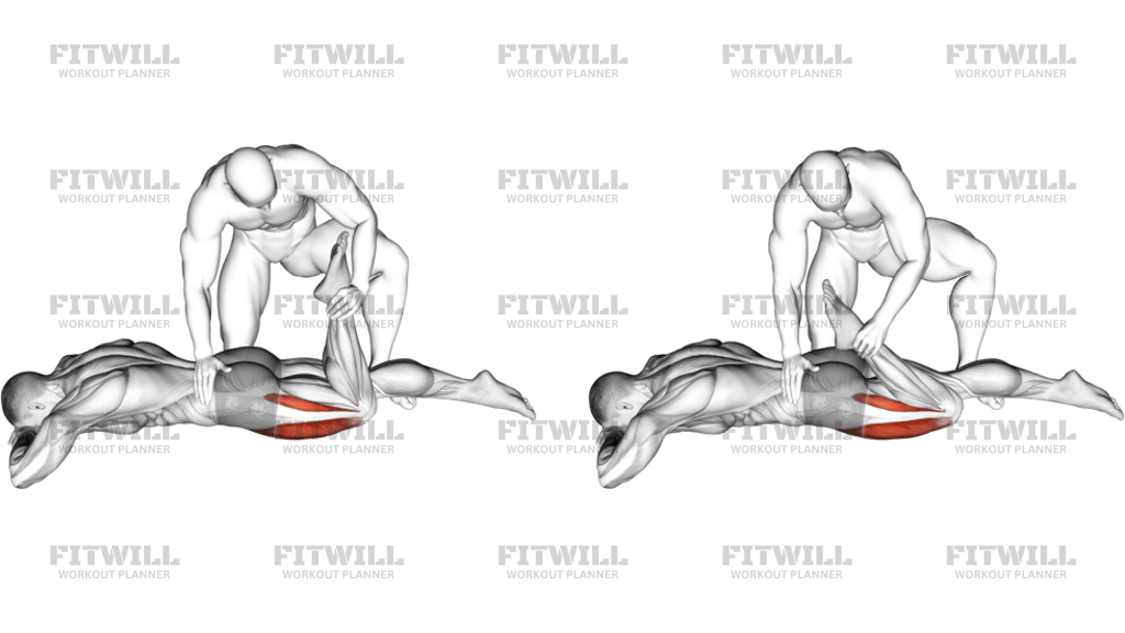 Assisted Prone Lying Quadriceps Stretch