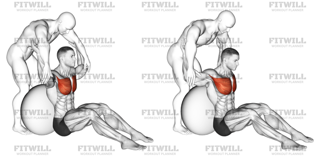 Assisted Seated Pectoralis Major Stretch With Stability Ball Exercise Guide Techniques Benefits How to Muscles Worked Tips Tricks Fitwill