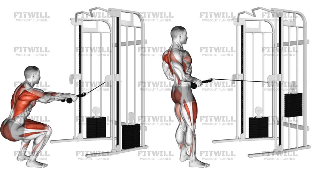 Cable Squat Row With Rope Attachment