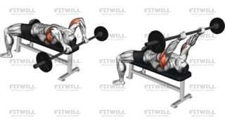 Barbell Lying Triceps Extension