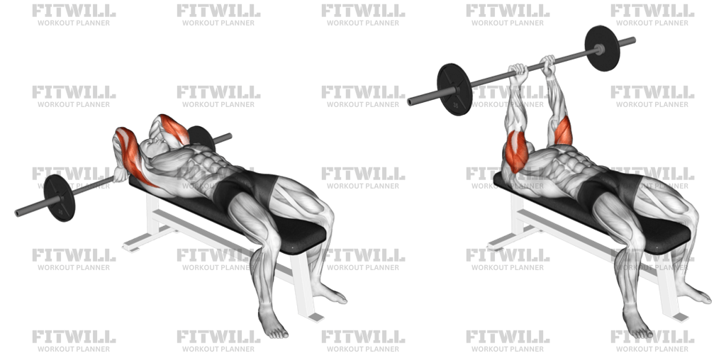 Tricep press extension hotsell