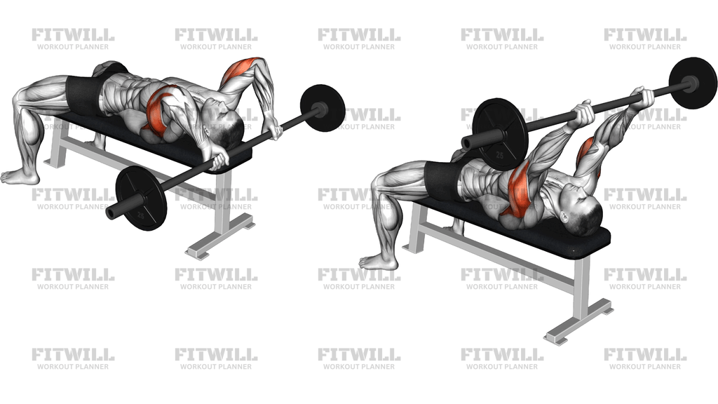 Barbell Lying Triceps Extension