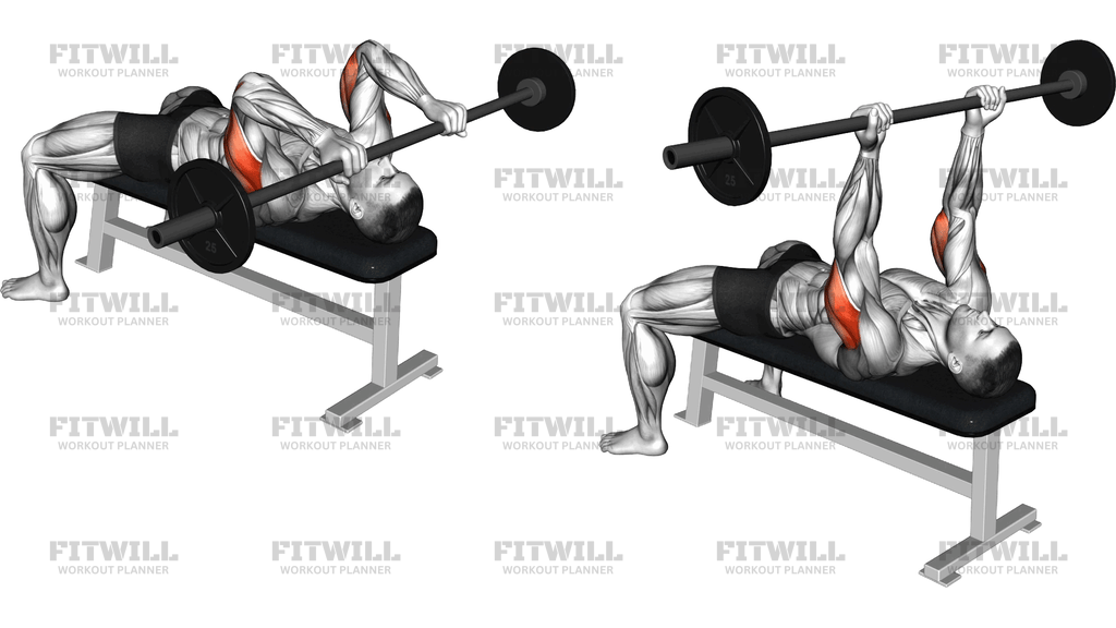 Barbell Reverse-Grip Skullcrusher