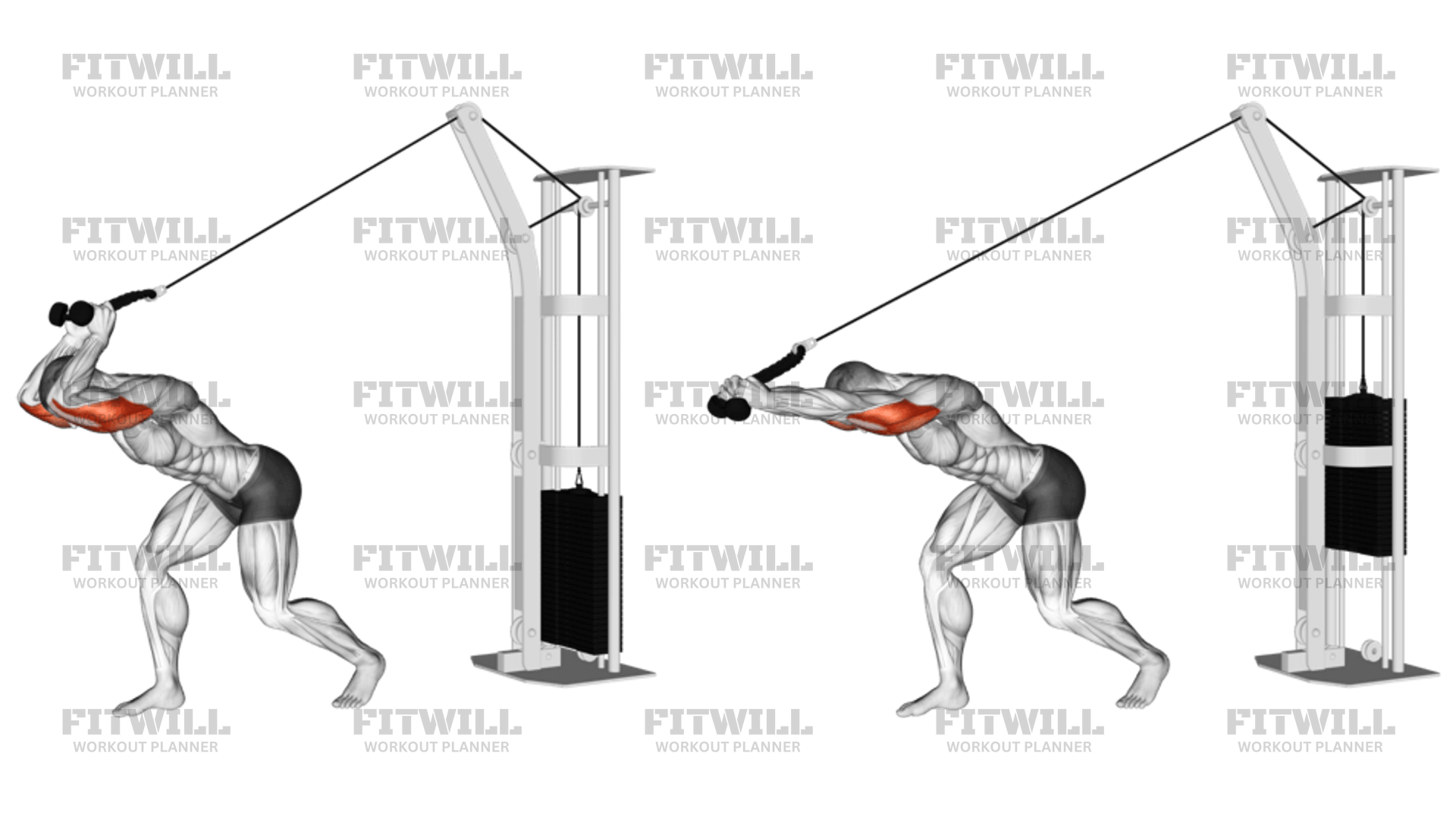 Cable Rope High Pulley Overhead Tricep Extension Exercise Guide Video Techniques Benefits How to Muscles Worked Tips Tricks Fitwill