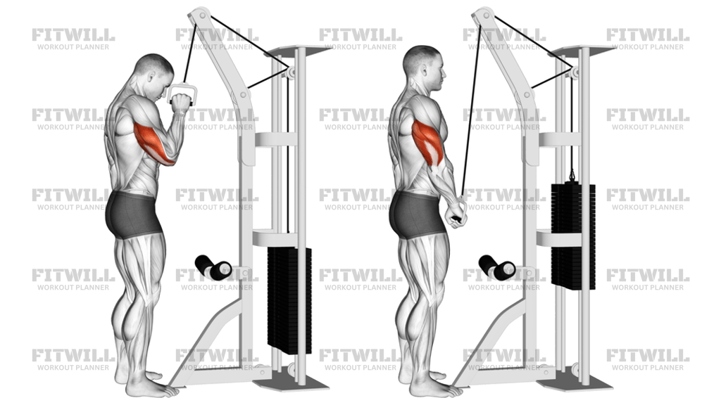 Cable One-Arm Tricep Pushdown