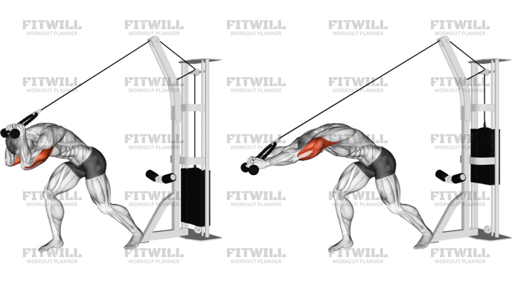 Cable Rope High Pulley Overhead Tricep Extension