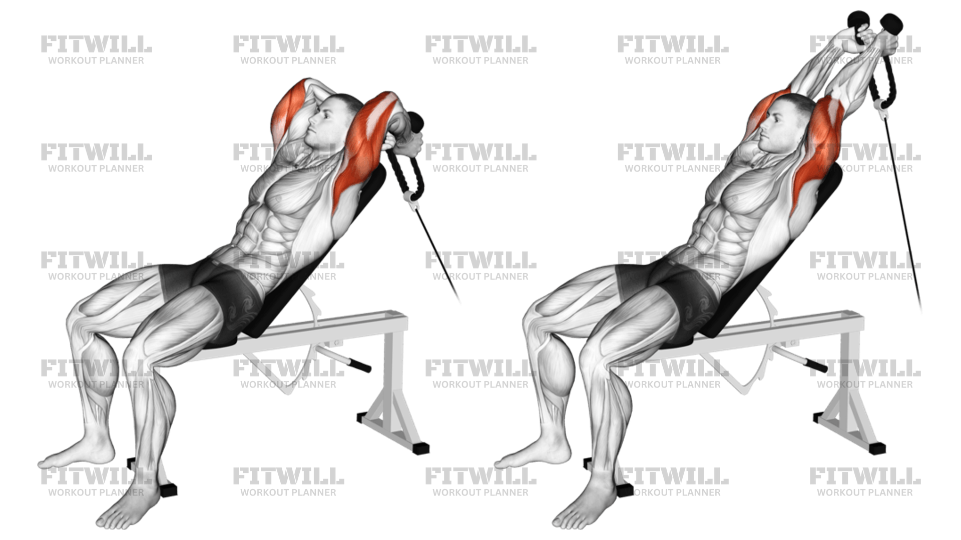 Cable Rope Incline Tricep Extension Exercise Video Fitwill