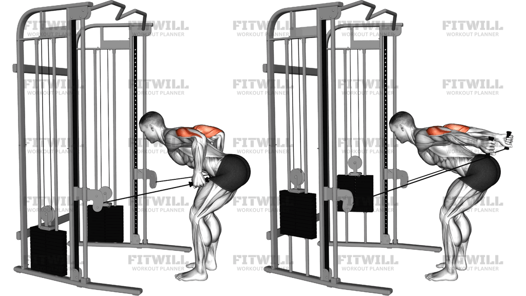Cable Two Arm Tricep Kickback