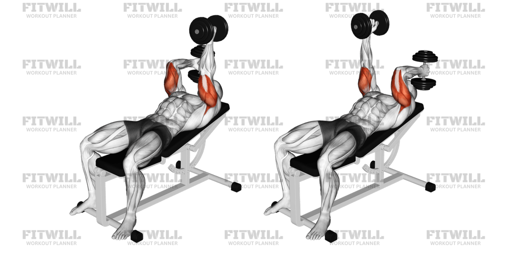 Lying single dumbbell extension sale