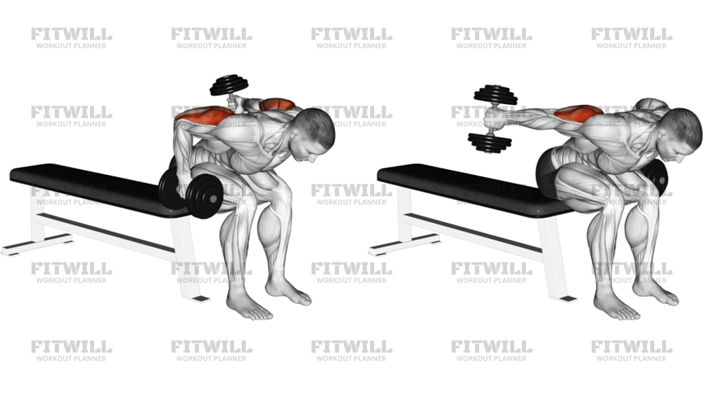 Dumbbell Seated Bent-Over Alternate Kickback