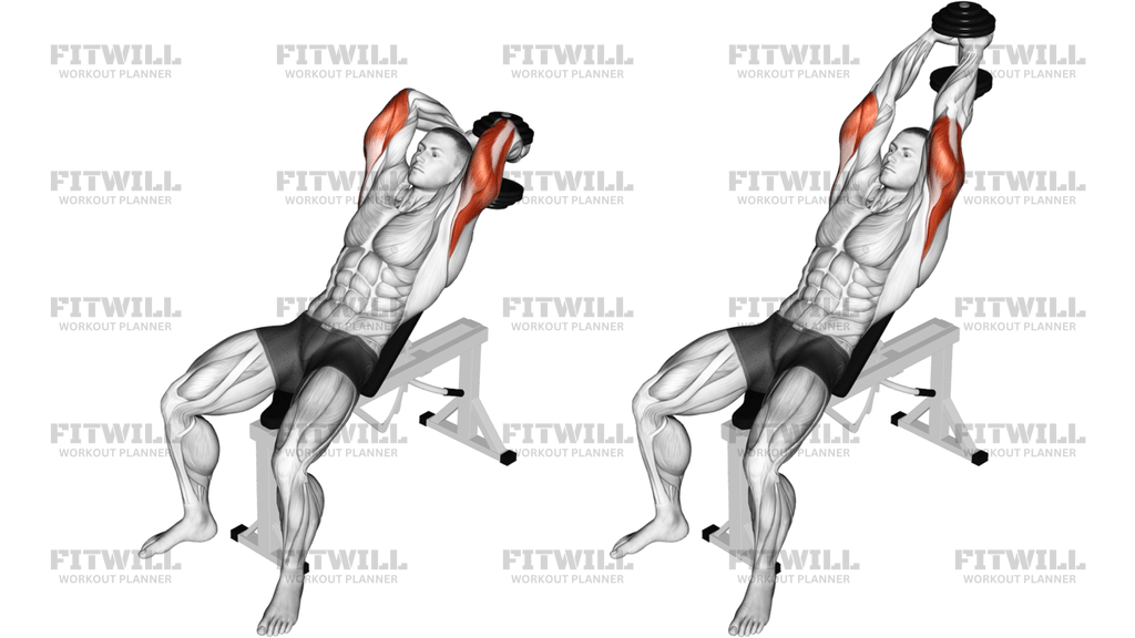 Dumbbell Incline Two Arm Extension