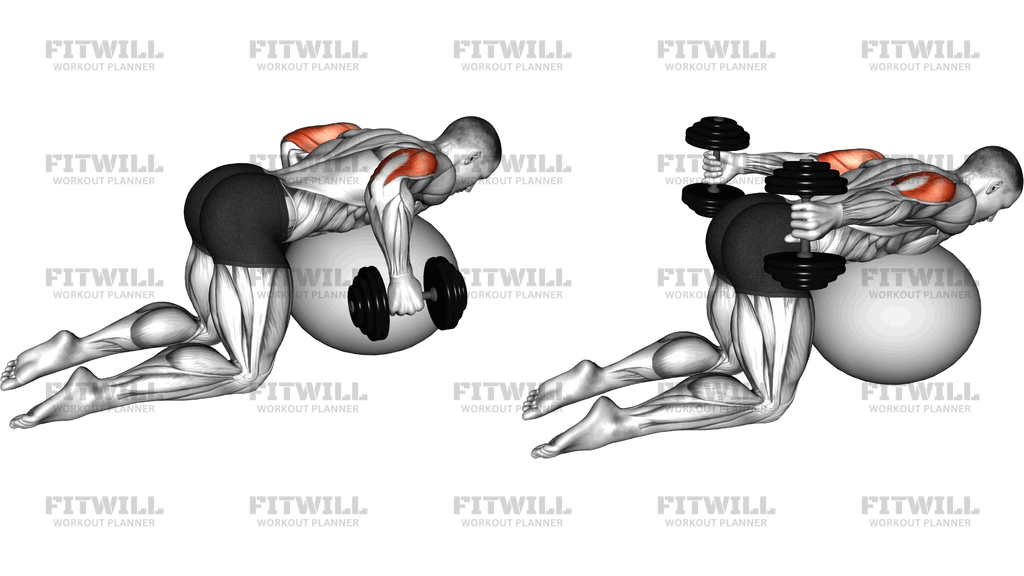 Dumbbell Kickbacks On Exercise Ball