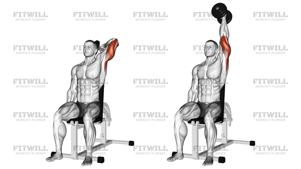Dumbbell Seated Reverse-Grip One-Arm Overhead Tricep Extension