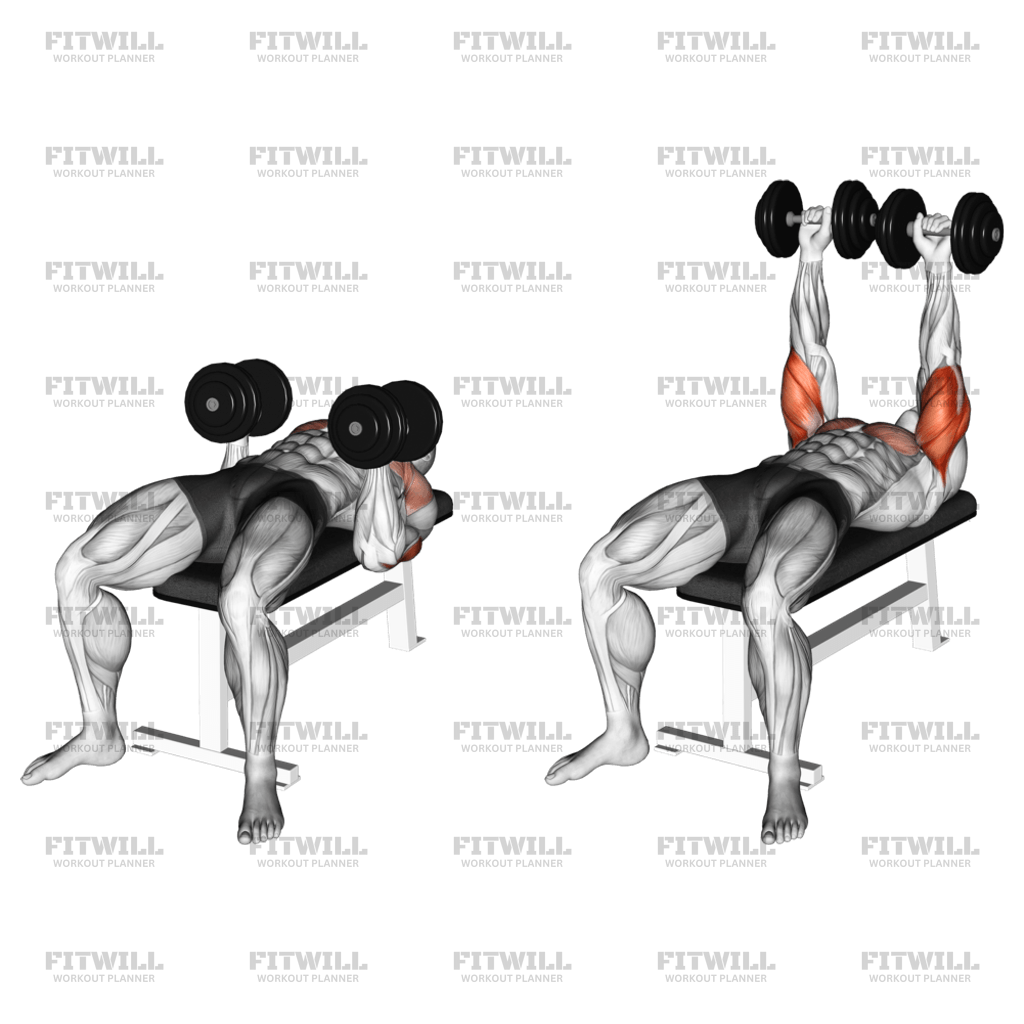 Dumbbell Twisting Bench Press Exercise Guide Techniques Benefits How to Muscles Worked Tips Tricks Fitwill