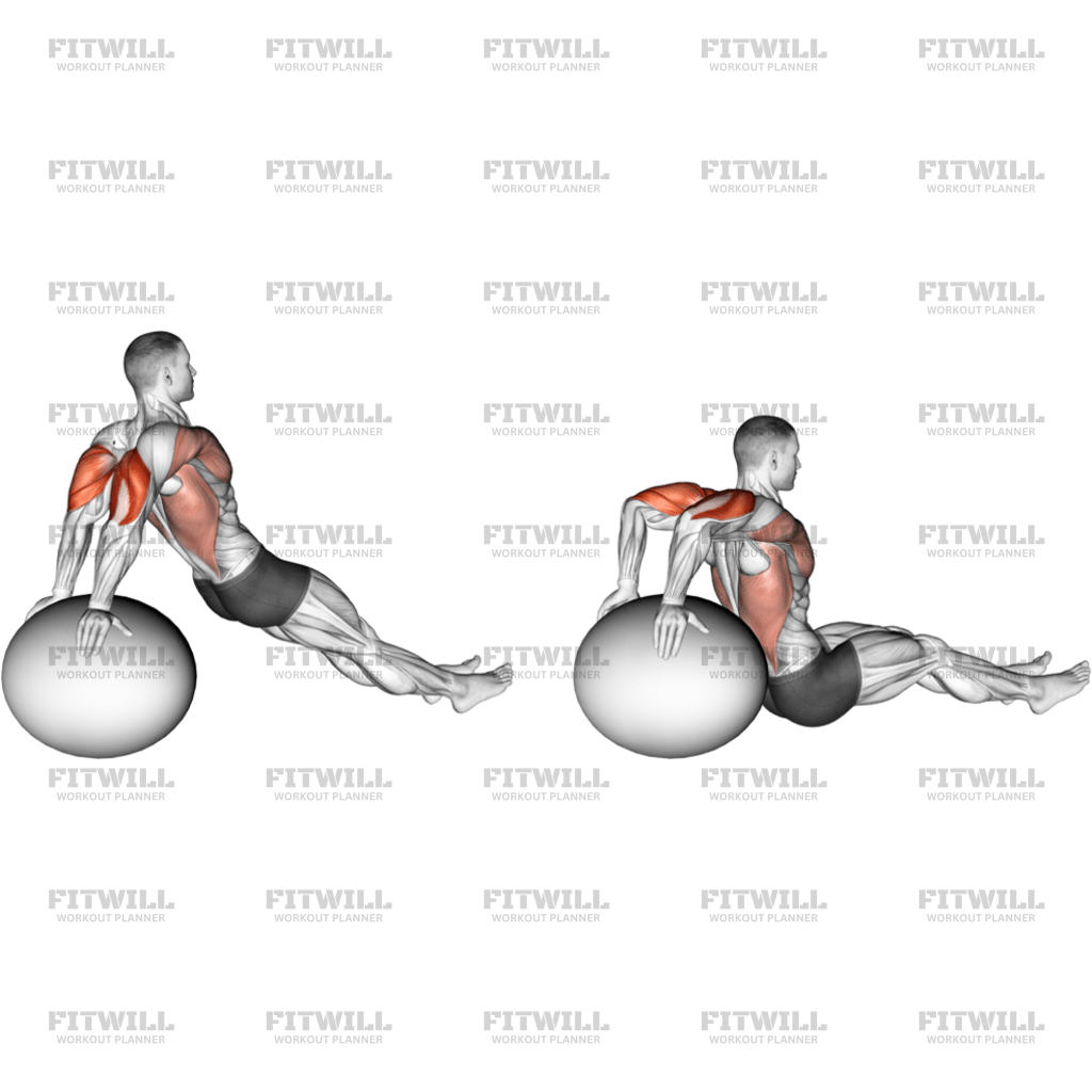 Exercise Ball Dip: Exercise Guide, Techniques, Benefits, How to ...
