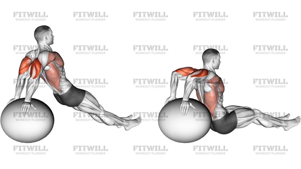 Exercise Ball Dip