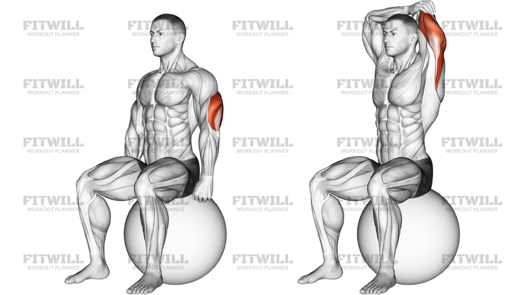 Exercise Ball Seated Triceps Stretch