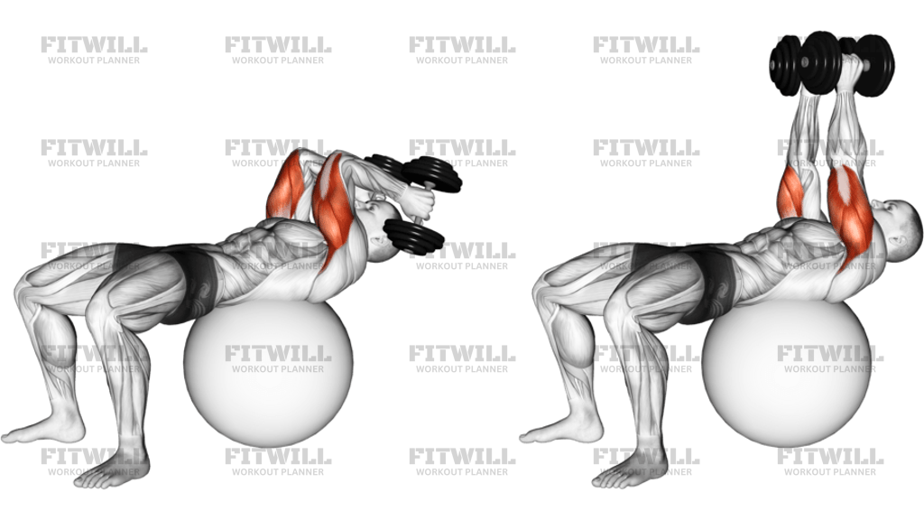 Exercise Ball Supine Triceps Extension