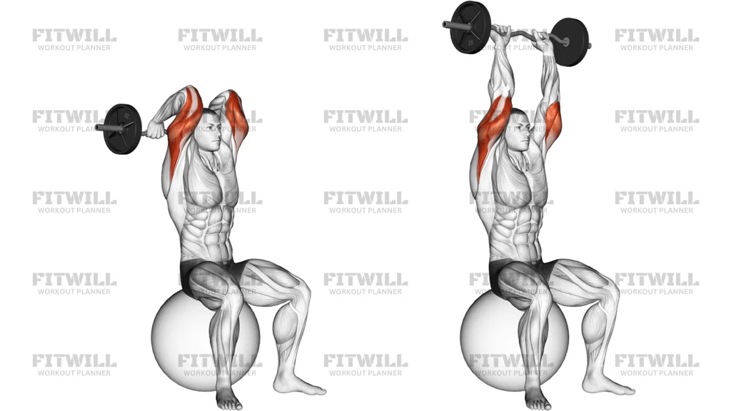 EZ Bar French Press On Exercise Ball