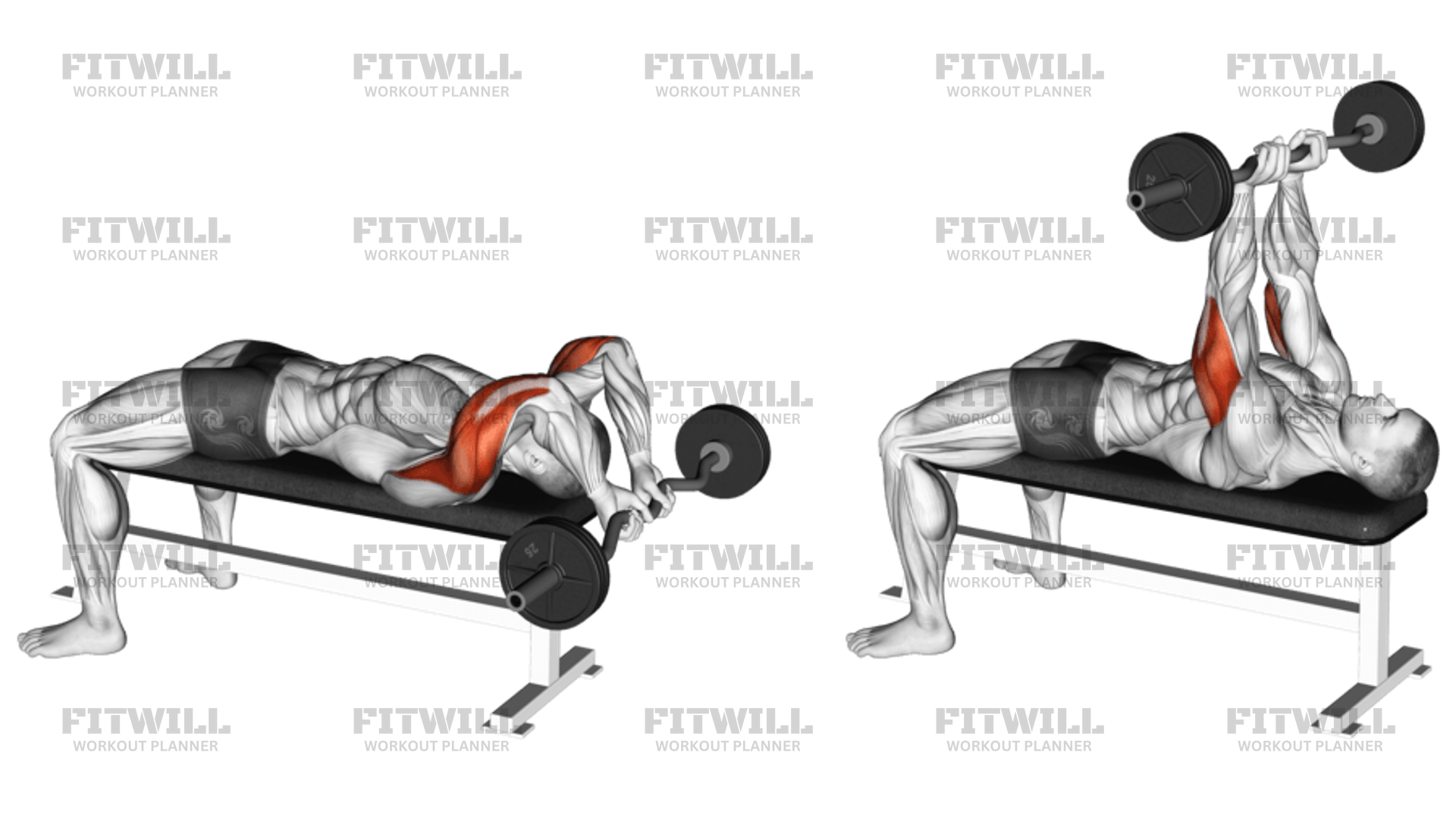 How to do EZ Bar Lying Close Grip Triceps Extension Behind Head