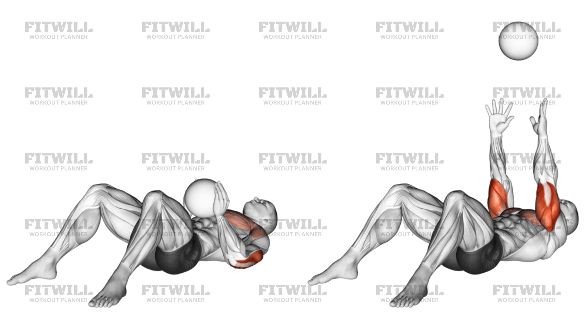 Medicine Ball Supine Chest Throw Exercise Guide Video Techniques Benefits How to Muscles Worked Tips Tricks Fitwill