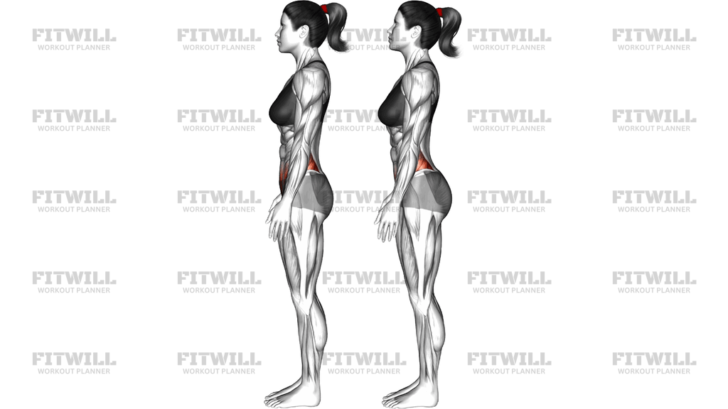 Standing Anterior Pelvic Tilt