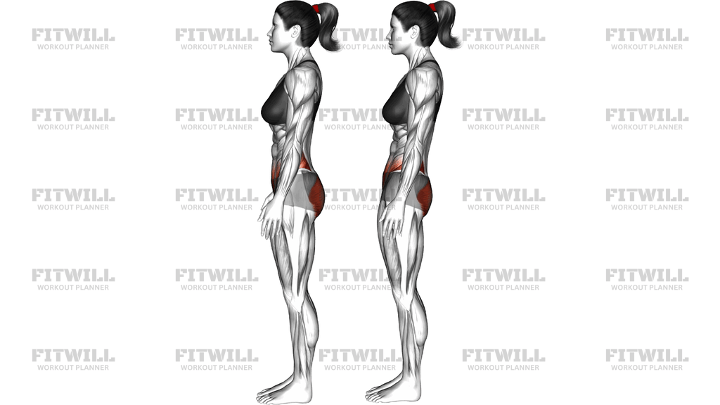 Standing Posterior Pelvic Tilt