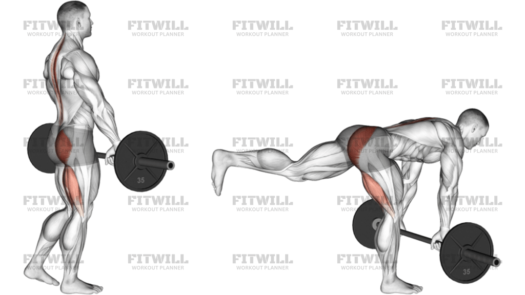 Barbell Single Leg Deadlift