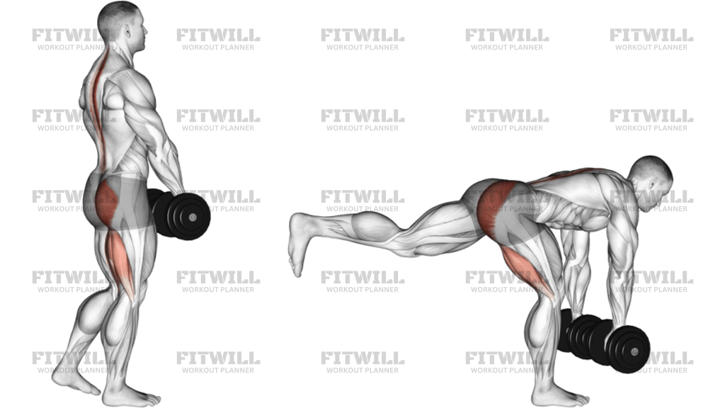 Dumbbell Single Leg Deadlift