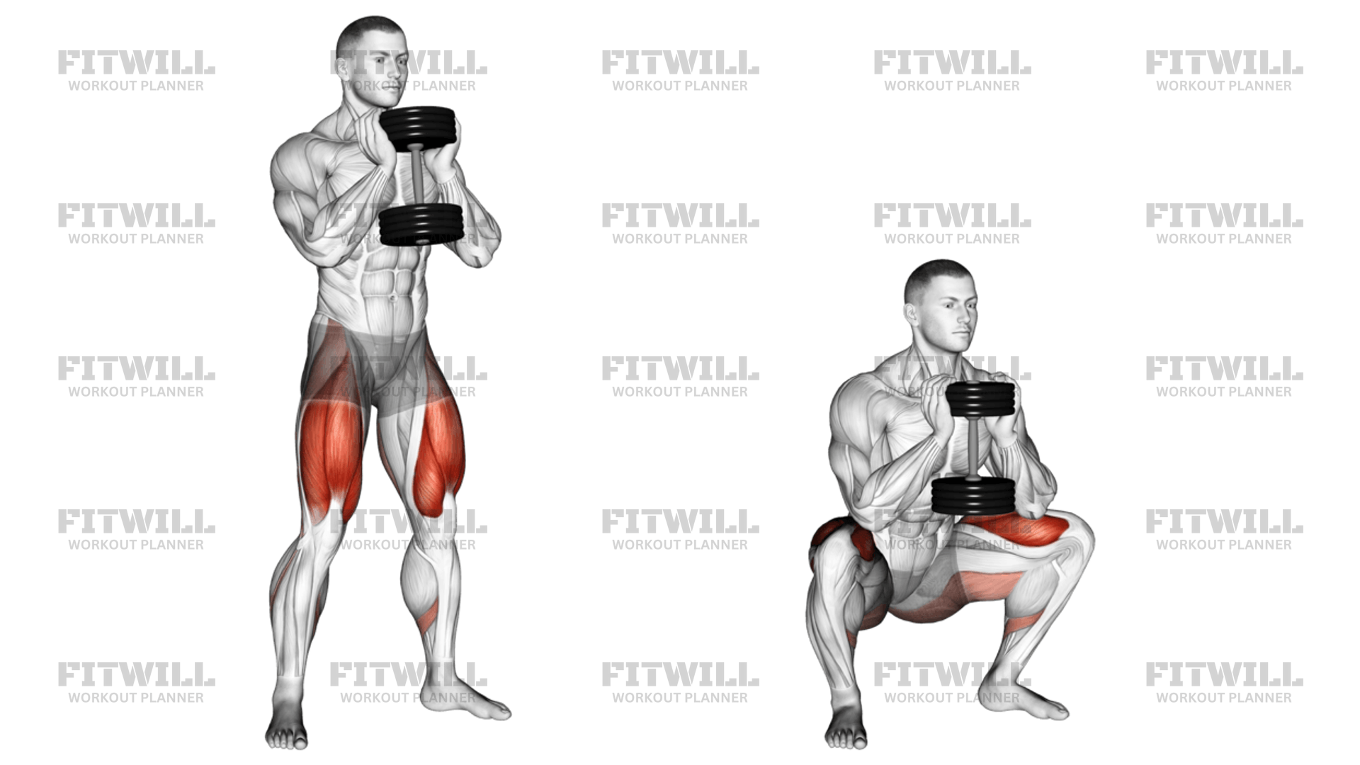 Dumbbell Goblet Squat: Guide, Techniques, Benefits, How to, Muscles ...