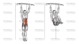 Hanging Leg Hip Raise