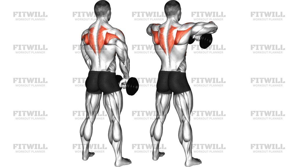 Dumbbell Upright Row Back POV