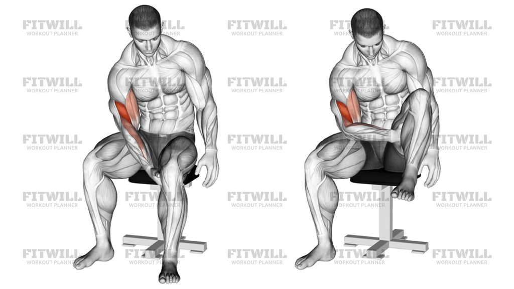 Biceps Leg Concentration Curl