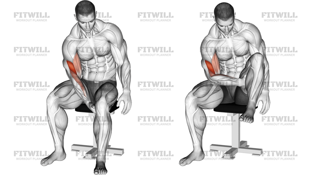Biceps Leg Concentration Curl