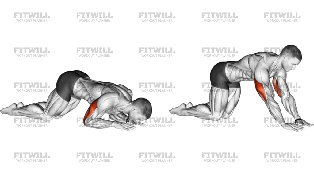 Bodyweight Kneeling Triceps Extension
